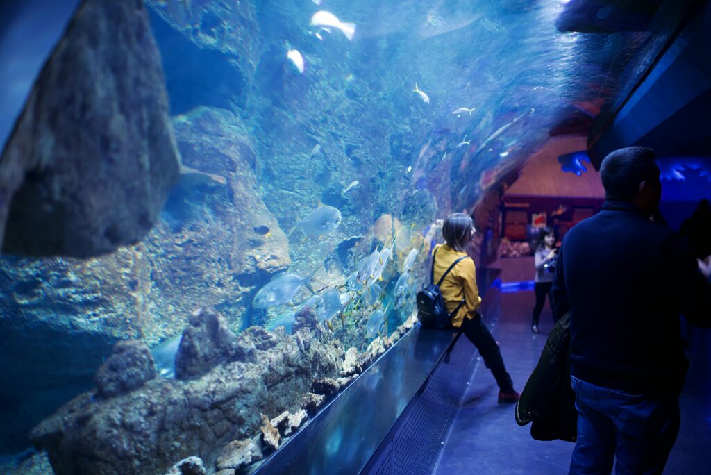 Girl standing in an aquarium
