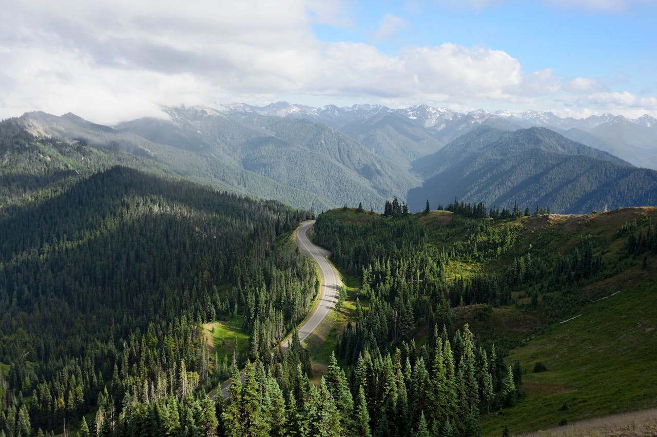 Aerial panorama of lush green landscapes in Olympic National Park, Washington.